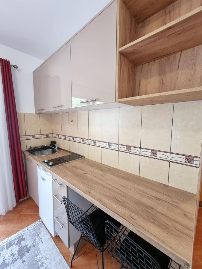 Apartment Dom Budva